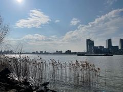 -上海山野camping·户外天幕烧烤·团建拓展营地