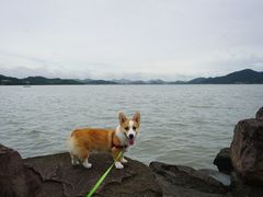 -东钱湖小普陀景区