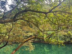 -鼎湖山风景区
