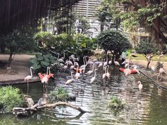 -九龙公园