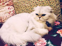 -广州迷途主题旅馆(海珠广场店)