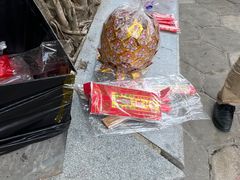 -南国桃园旅游度假区