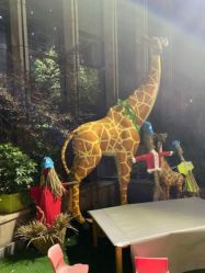 -可可天空农场(中大店)