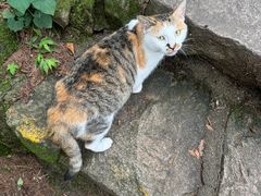-崂山九水游览区