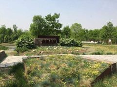 -东郊湿地公园