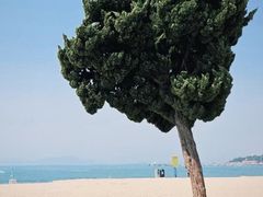 -青岛石老人海水浴场