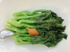 -梧桐