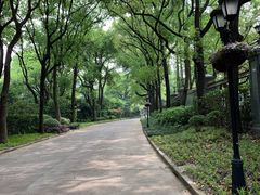-上海虹桥迎宾馆