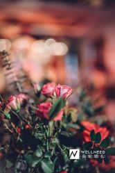 -天泰一站式婚宴·宴会厅