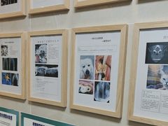 -半岛宠物医院24小时·内窥镜·牙科·碎石中心(府城大道店)