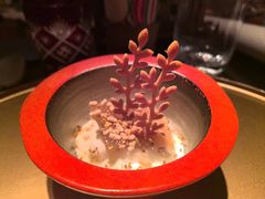 -地球美食剧场