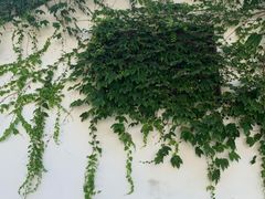 -鹿亭中村
