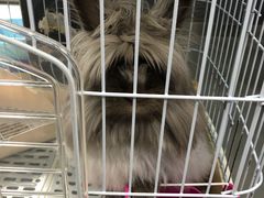 -UltraForce超源健身私教工作室(长楹天街精品店)