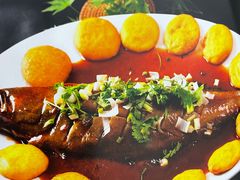 -郭姐·威海渔村(黄兴路店)