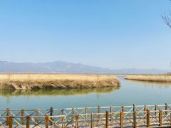 -野鸭湖国家湿地公园