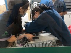 -瑞派紫金宠物医院24小时·骨科·中兽医·重症转诊中心(番禺大石院)