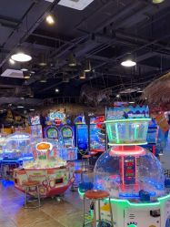 -卡通尼·Safari非洲探索乐园·生日会(金桥国际商业广场店)