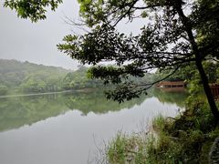 -广州市石门国家森林公园