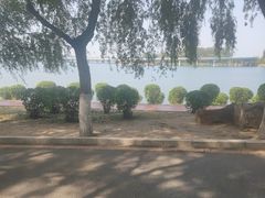 -丁香湖公园