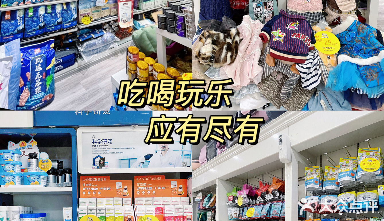 成华区最大宠物店🐾穿搭博主的狗也要洋气