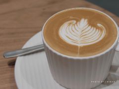 茉莉小白-素咫咖啡CLIFEROSE