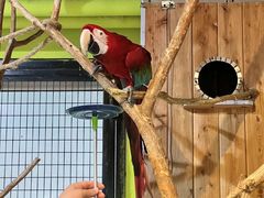 -北京野生动物园