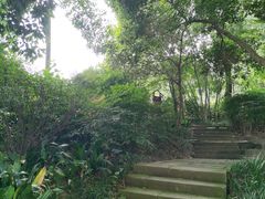 -成都市活水公园