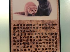 -猫咪博物馆(顶澳仔猫街店)