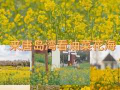 -唐岛湾公园