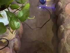 -唇辣号重庆老火锅(燕郊鑫乐汇店)