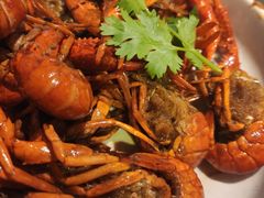 -龙巢盱眙龙虾·牛蛙·烧烤宵夜(八卦岭店)