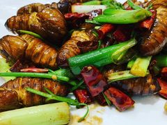 -子霖南山鲜虾面(南山总店)