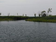 -太湖湖滨国家湿地公园-停车场