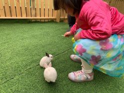 -萌宠亲子动物乐园(槐房万达店)