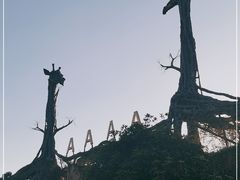 -贵州森林野生动物园