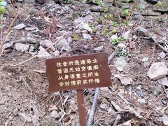 -寂照庵