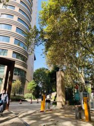 -河南中医药大学第一附属医院-医疗整形