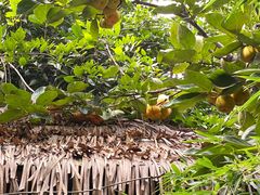 -留荫庐旅馆(南浔古镇百间楼店)