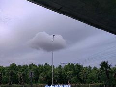 -宝安西湾红树林湿地公园