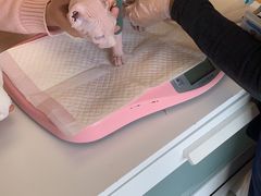 -纳吉亚猫专科动物医院博雅分院