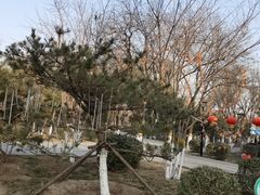 -康庄公园