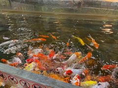 -上海大自然野生昆虫馆(东方明珠·爬宠昆虫探索中心)