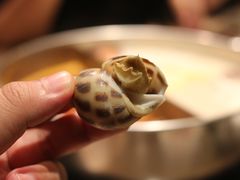 花螺-協成海鮮火鍋(老店)