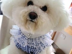 -美联众合动物医院(·中兽医·疑难杂症·严家桥分院)