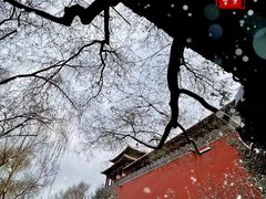 -东华门大街小区