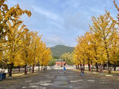 -晋祠公园