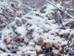 -天津意大利风情旅游区