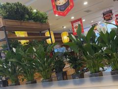 -大清花饺子(山庄店)