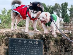 -林寨古村