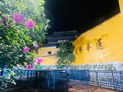 -九华山风景区月身宝殿